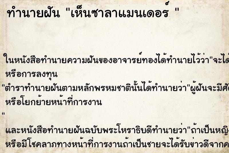 ทำนายฝันทำนายฝันเห็นซาลาแมนเดอร์